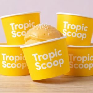 custom ice cream cups wholesale