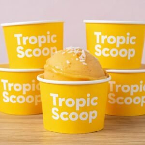 custom paper ice cream cups